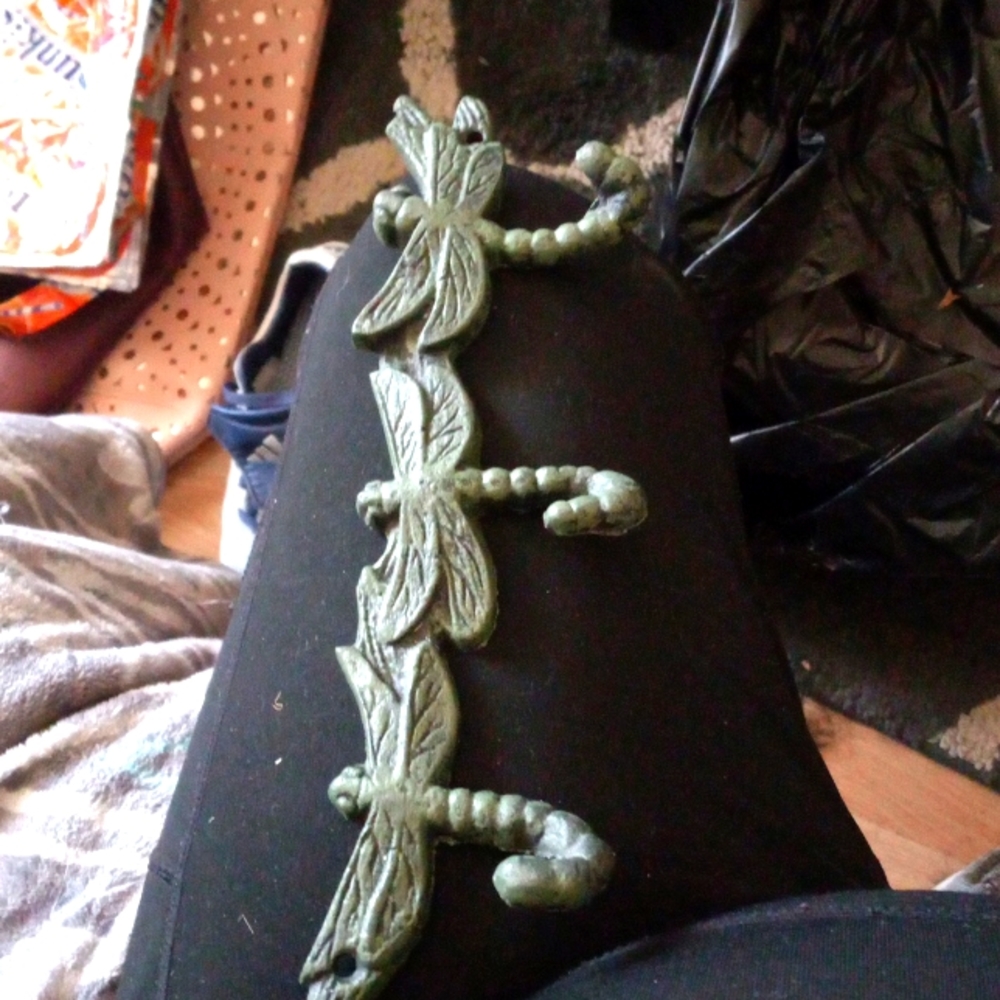 Dragonfly holder